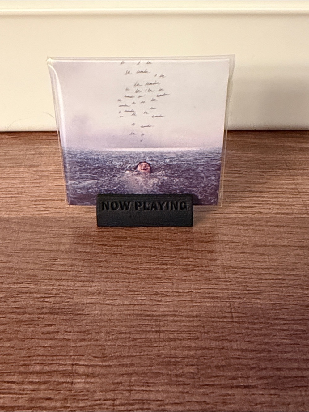 Mini Brand Vinyl: Shawn Mendes